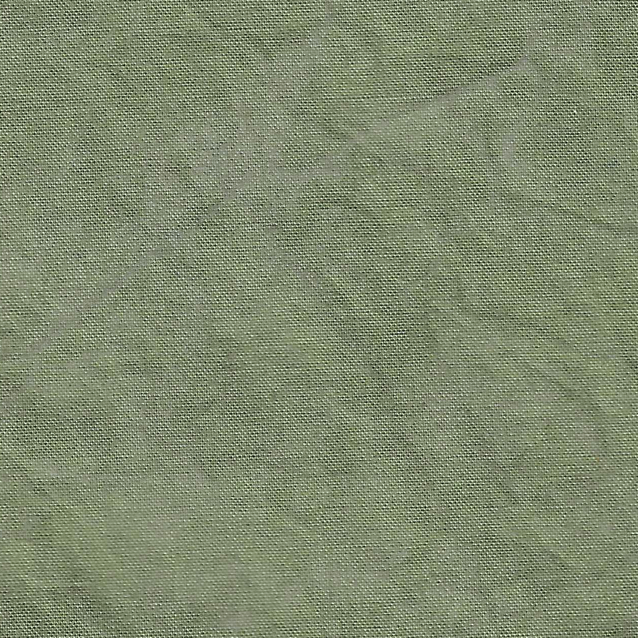 swatch thyme