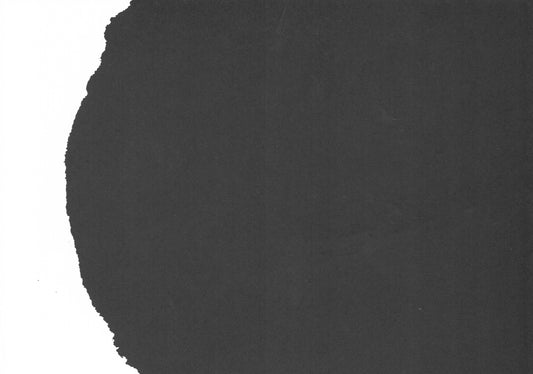 egg winter sale January 2008