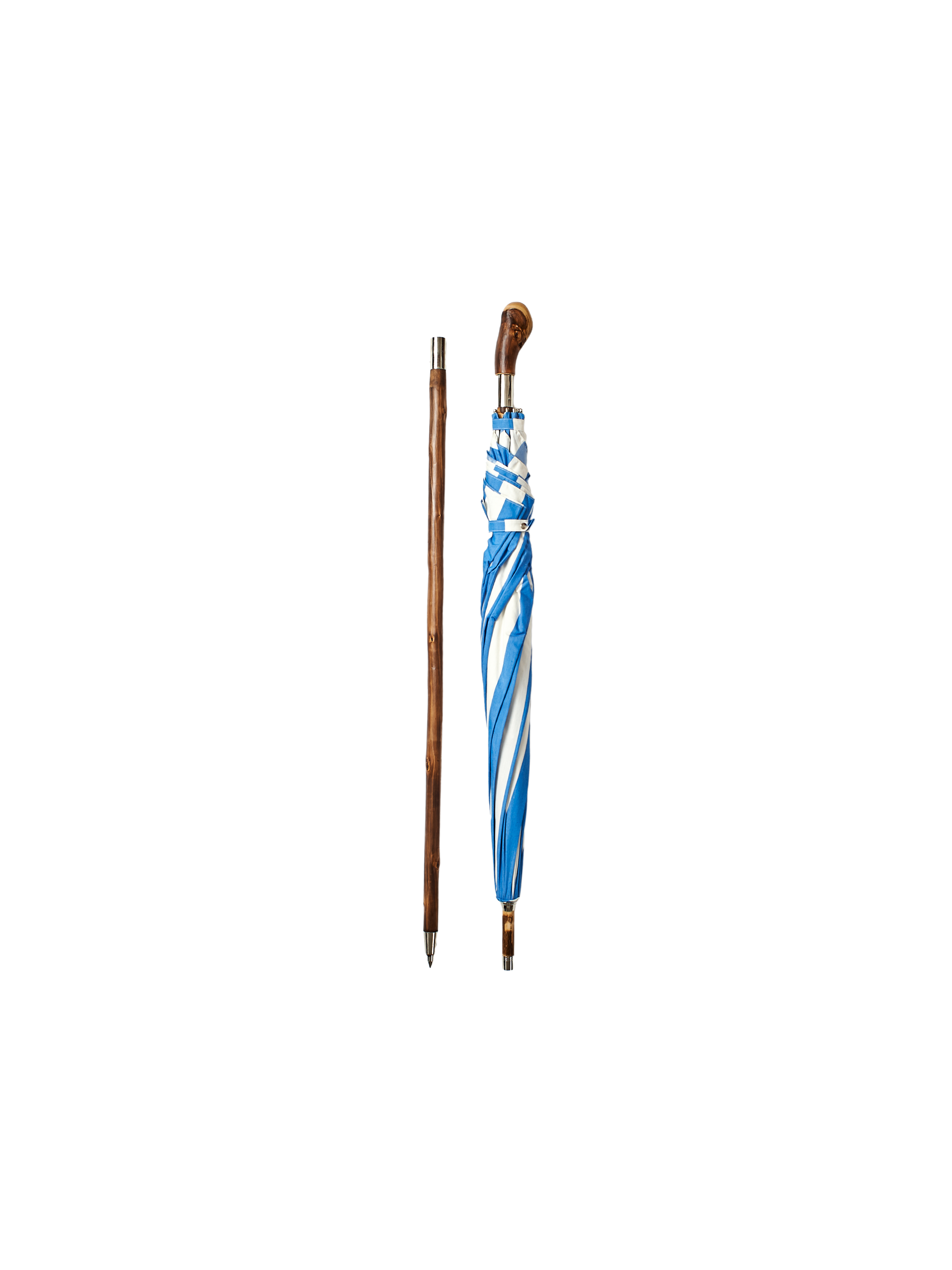 parasol